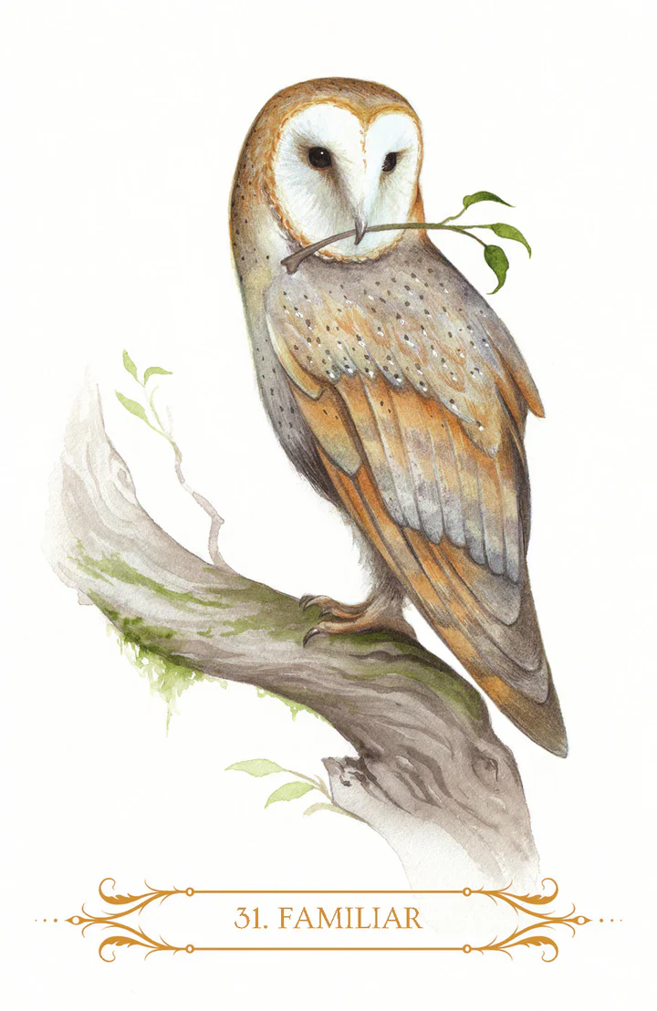 A Compendium of Witches - Image 5