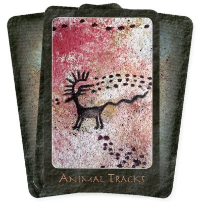 A Shaman - Image 2