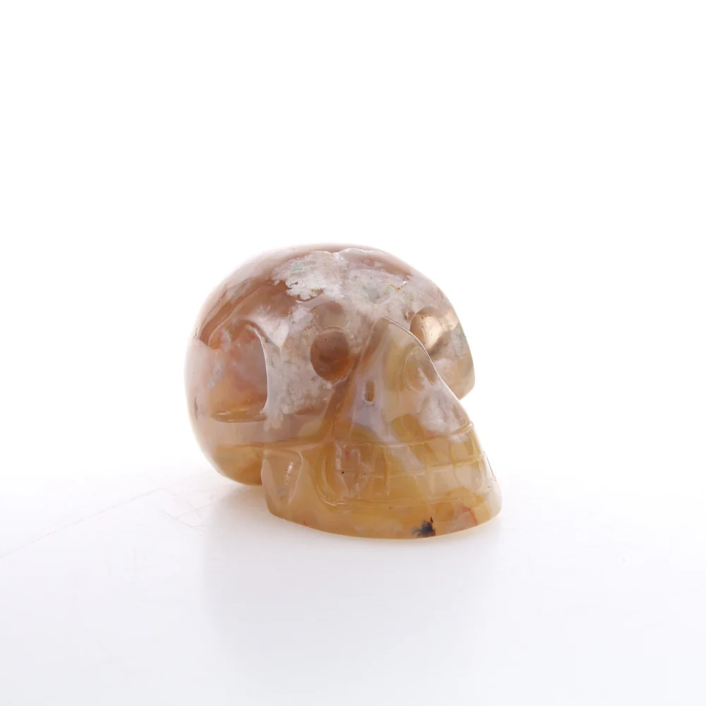 Miniatuur 1