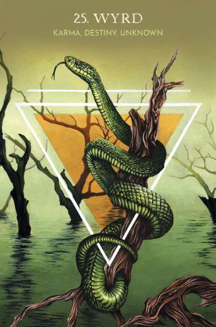 Animal Guide Rune Cards - Image 4