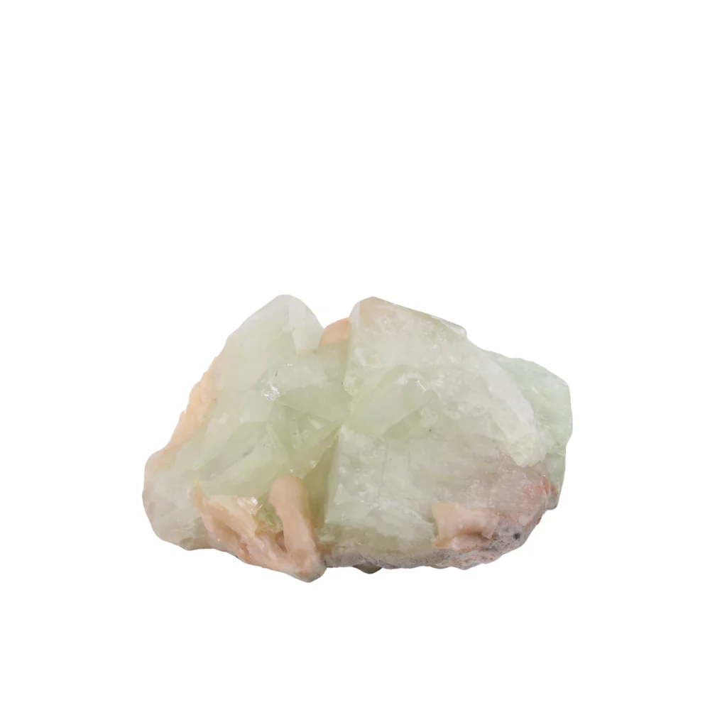 Miniatuur 1