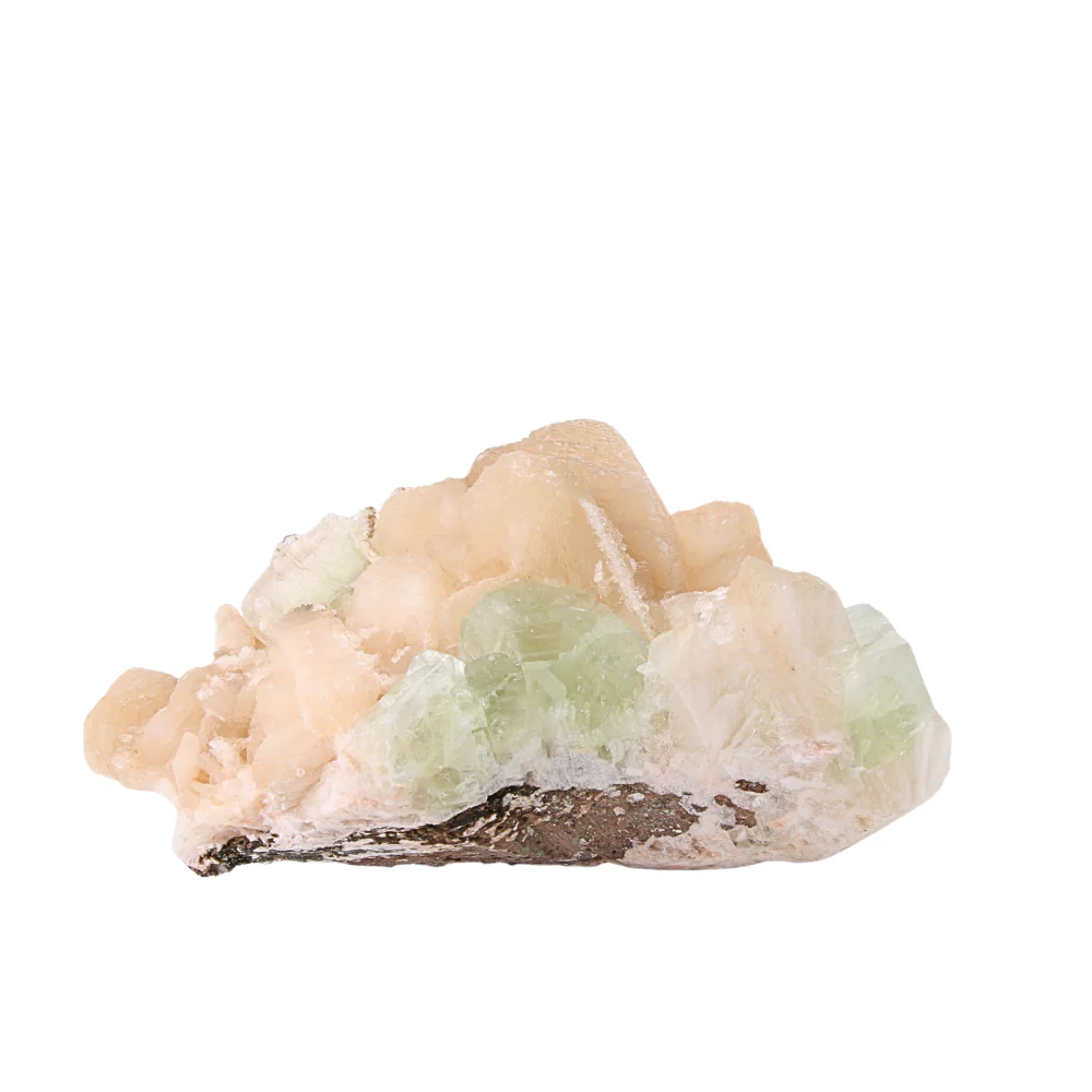 Miniatuur 1