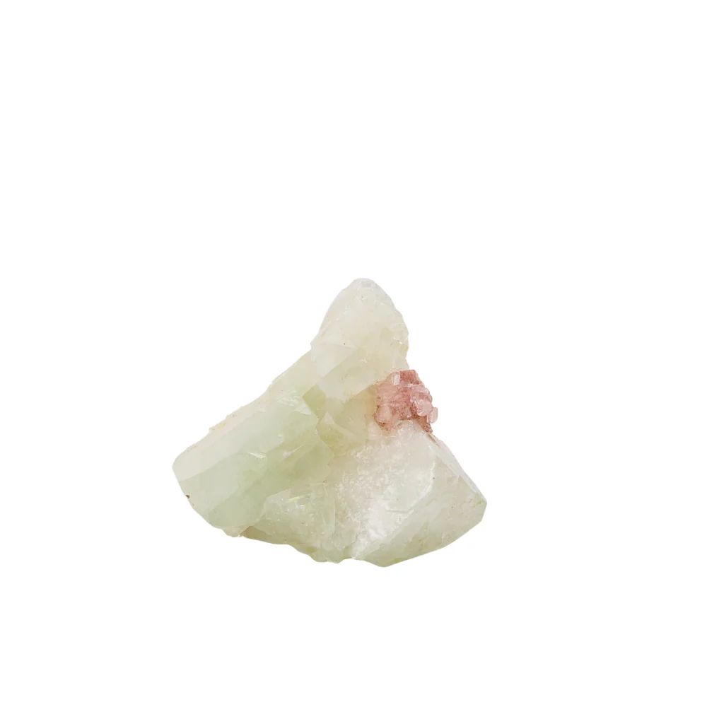 Miniatuur 1