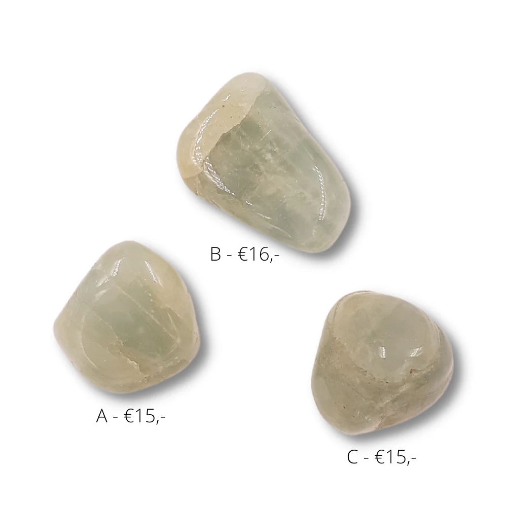 Miniatuur 1
