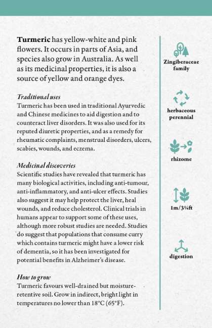 A Cabinet Full of Medicinal Plants - Image 3