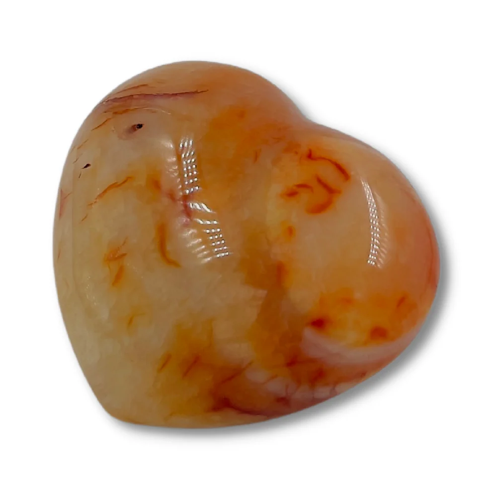 Miniatuur 1