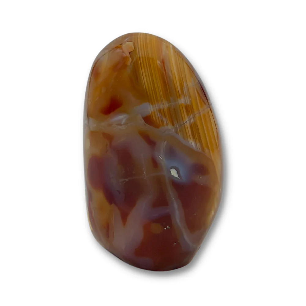 Miniatuur 2