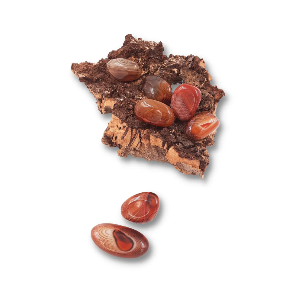 Miniatuur 2
