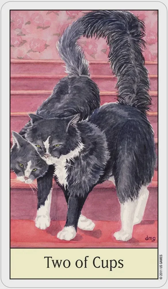 Cat's Eye Tarot - Image 4