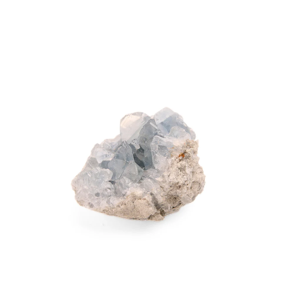 Celestien Ruw - 11 - Image 2
