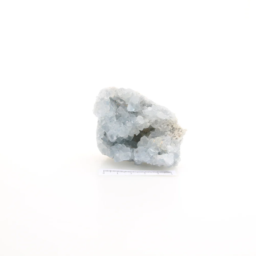 Miniatuur 2