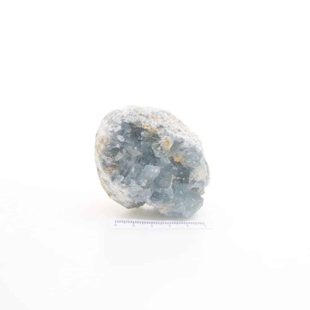 Miniatuur 2