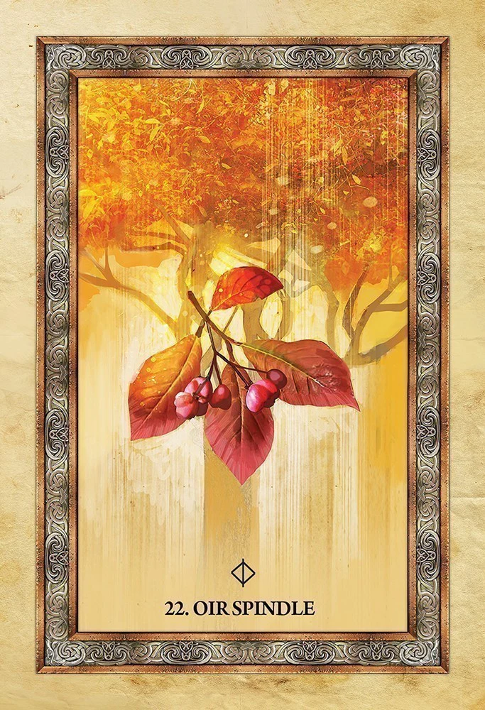 Celtic Tree Oracle - Image 2
