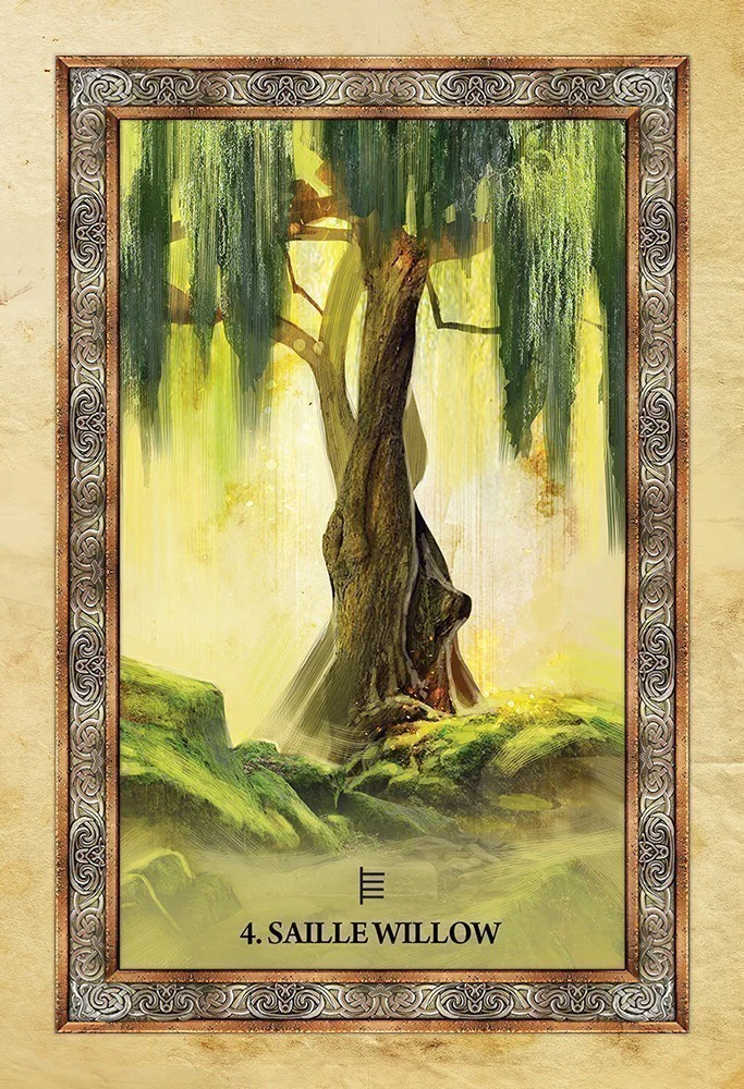 Celtic Tree Oracle - Image 3