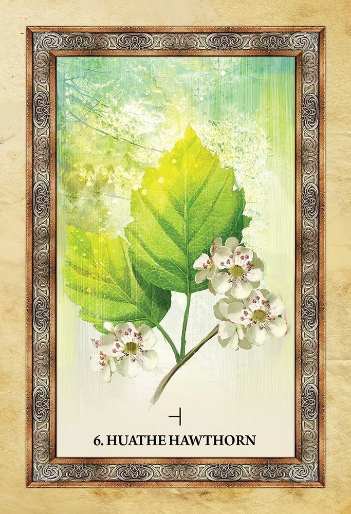 Celtic Tree Oracle - Image 4
