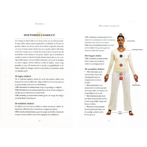Chakra meditatie - Image 2
