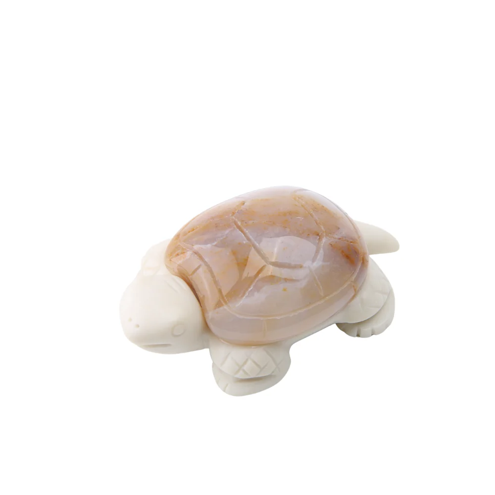 Miniatuur 1