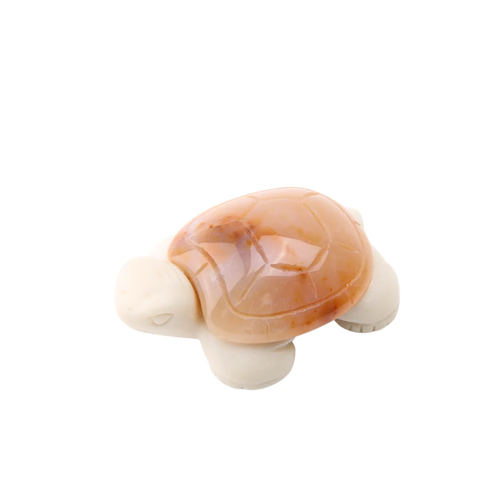 Miniatuur 1