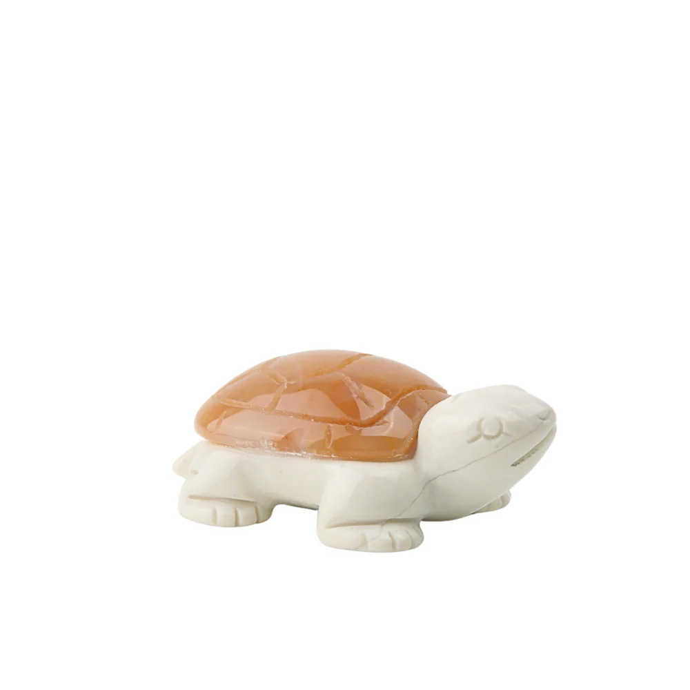 Miniatuur 2