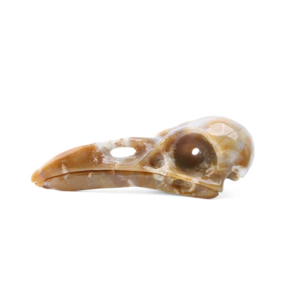 Miniatuur 1