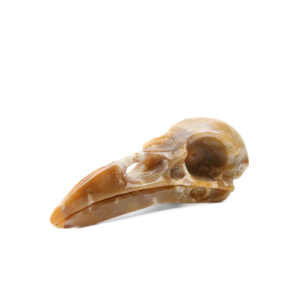 Chalcedoon Jaspis Raven Skull (groot) - 1 - Image 3