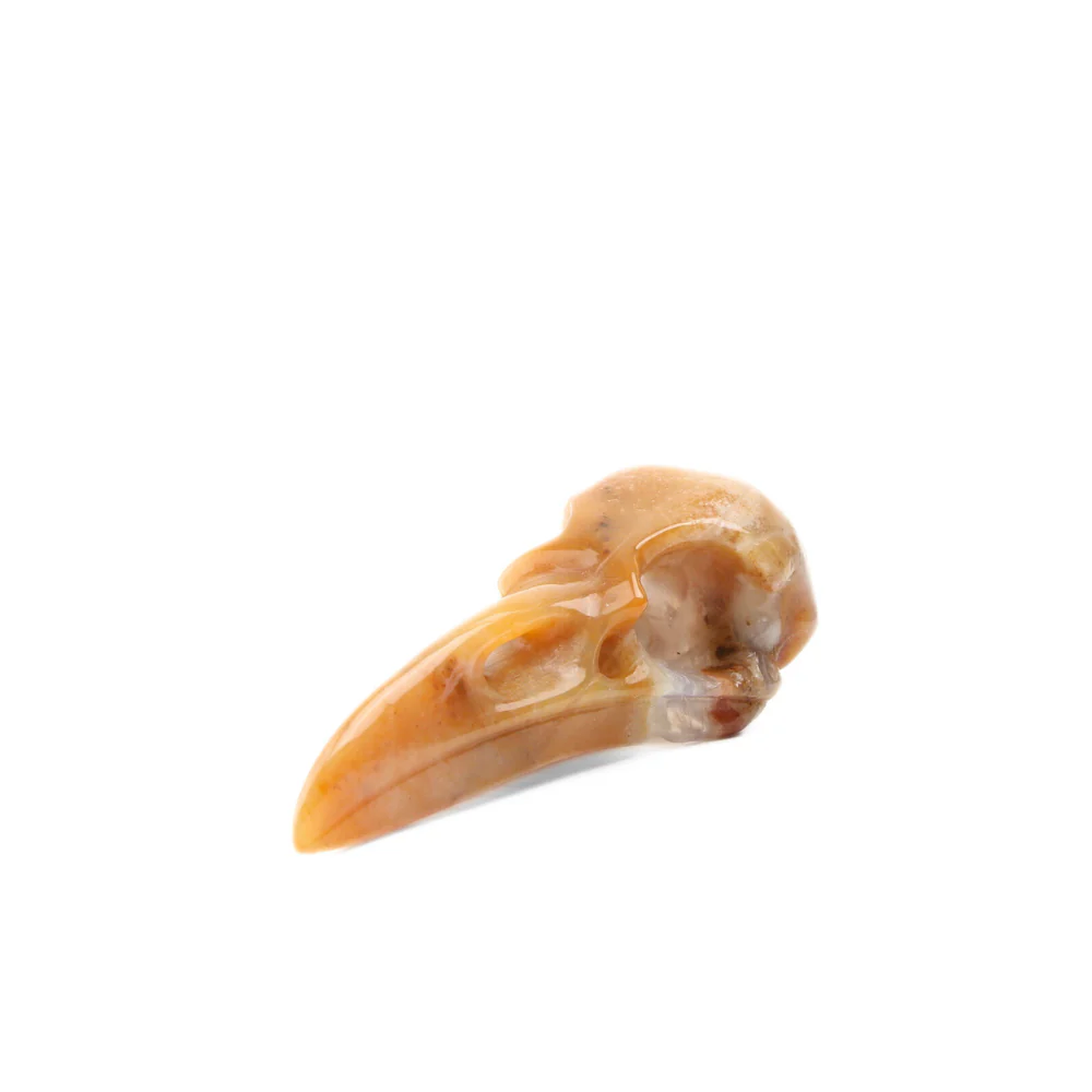 Chalcedoon Jaspis – Universiet Raven Skull - 3 - Image 2