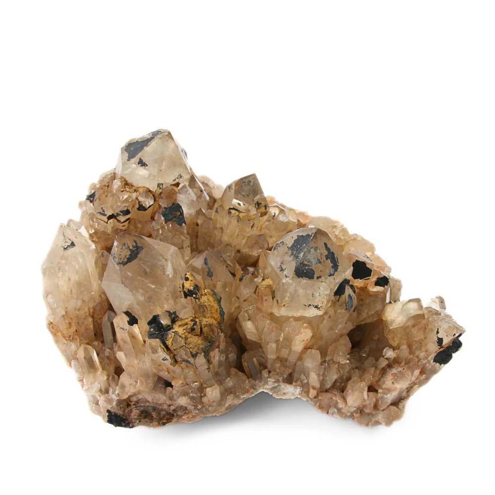 Citrien Cluster - 1 - Image 2