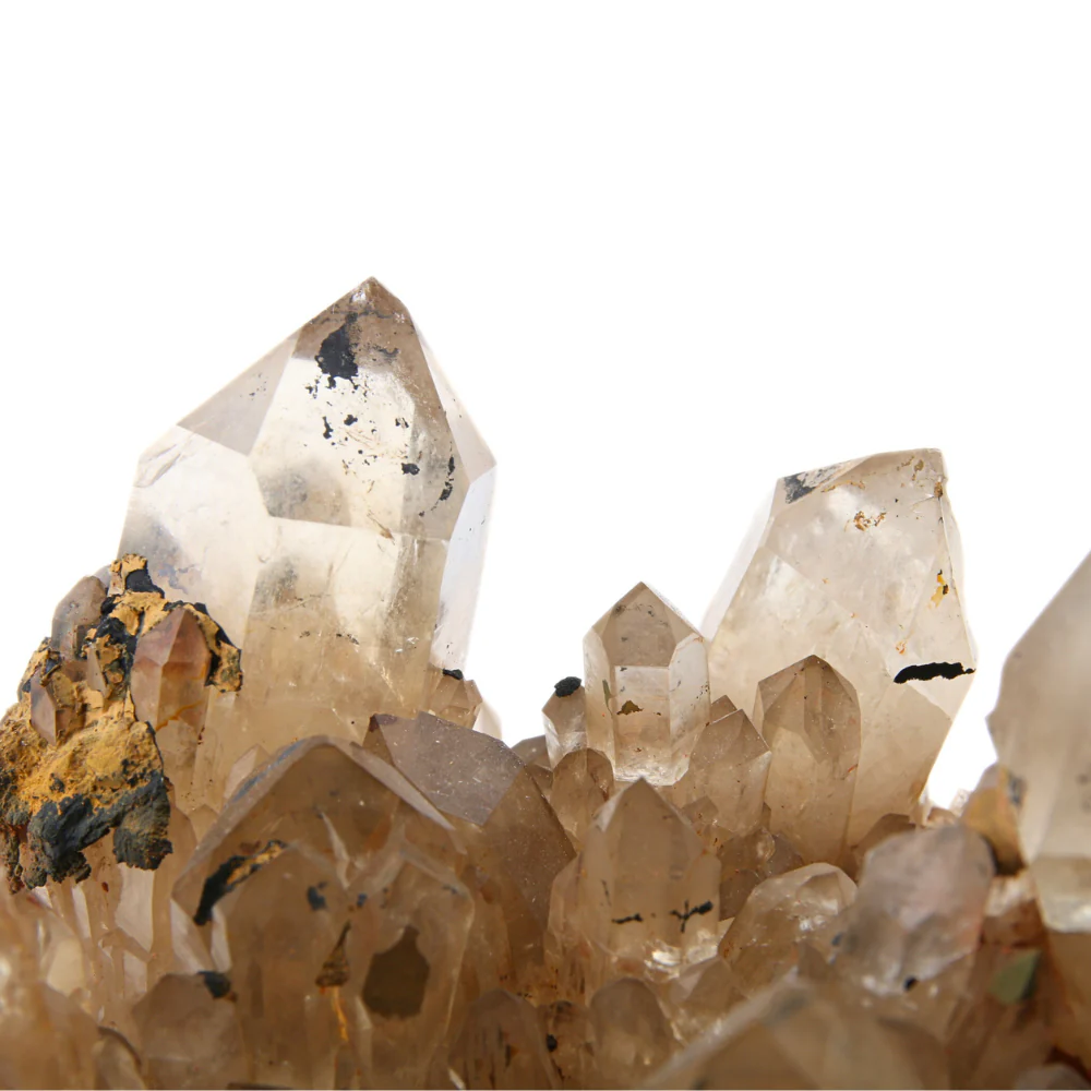 Citrien Cluster - 1 - Image 3