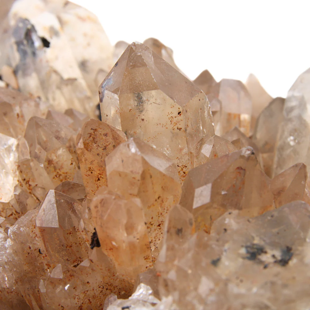 Citrien Cluster - 2 - Image 2