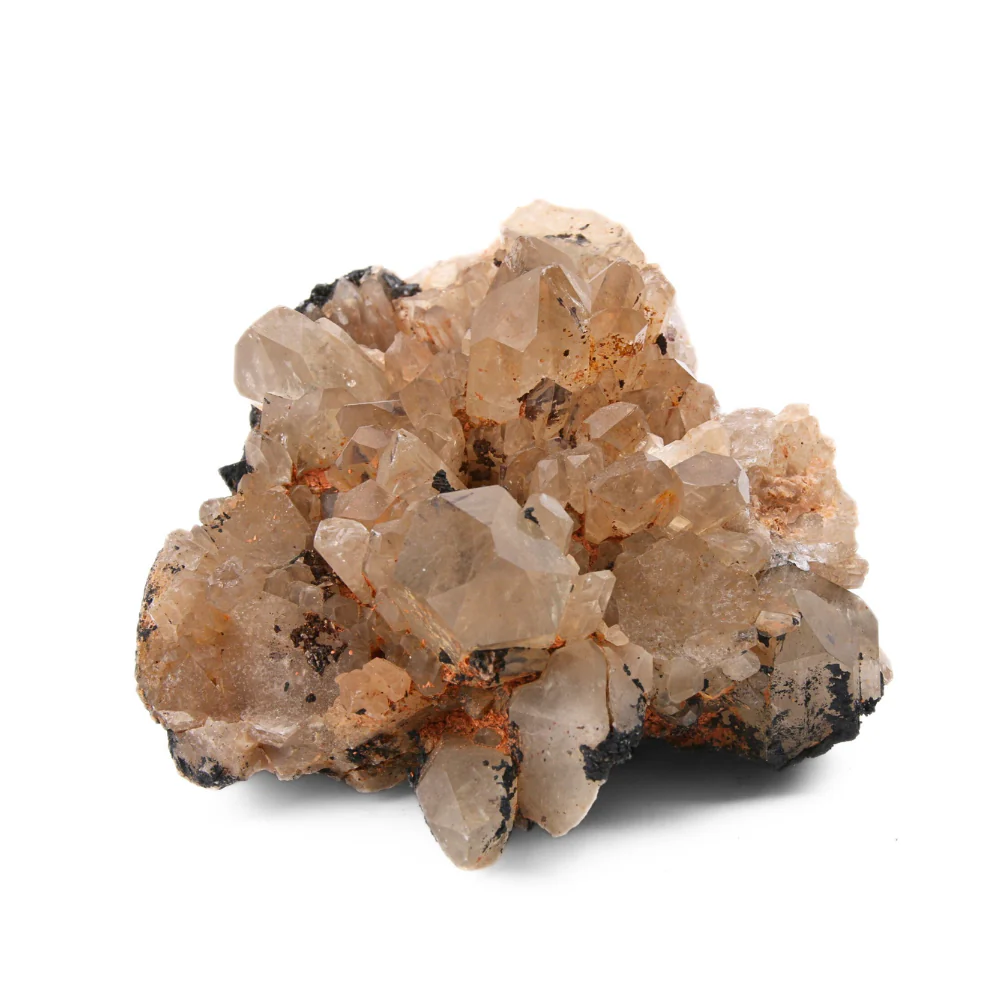 Citrien Cluster - 2 - Image 3