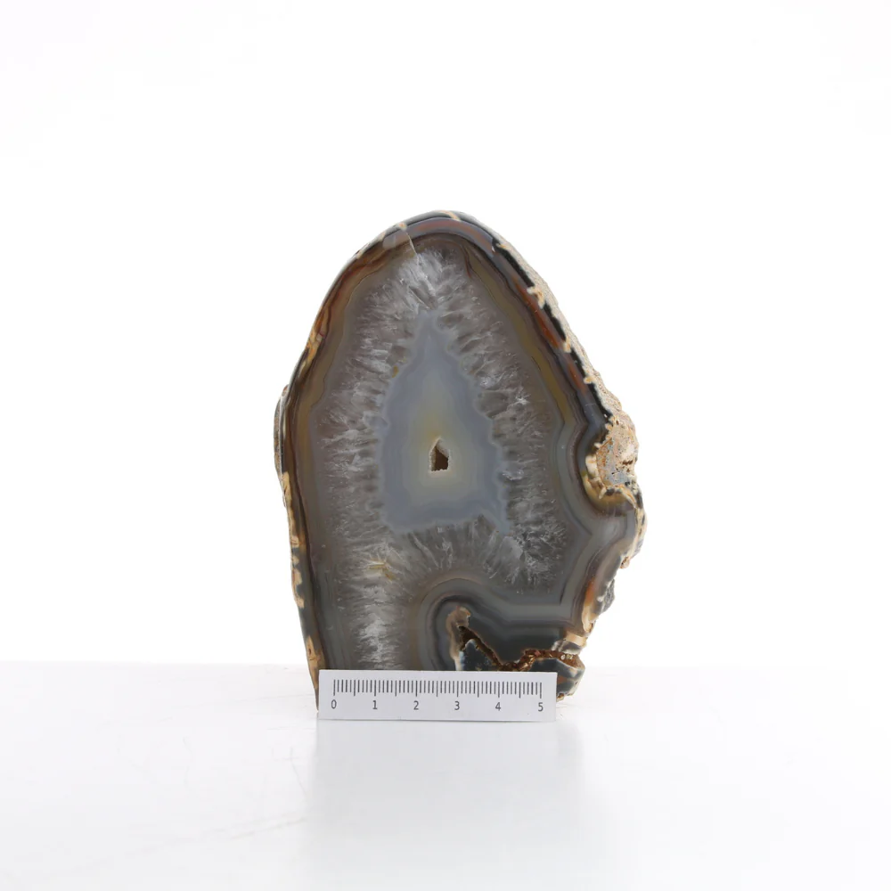 Miniatuur 2
