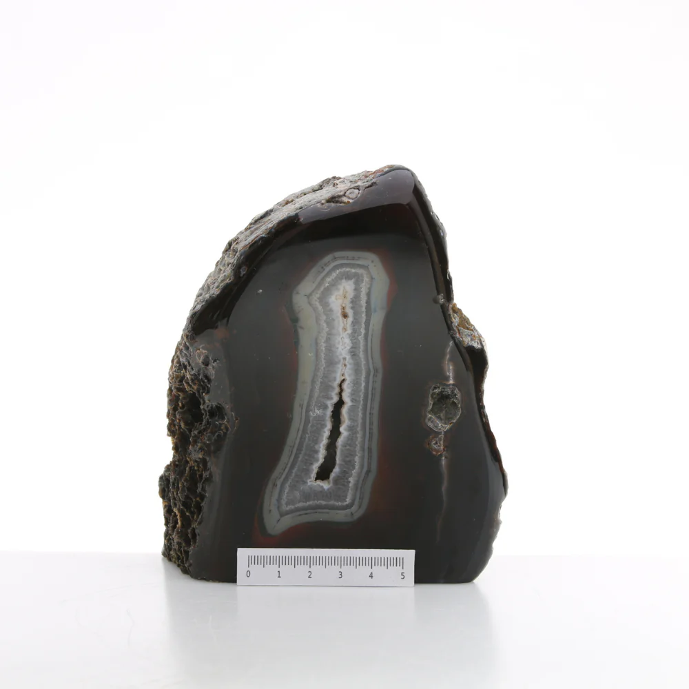 Miniatuur 2
