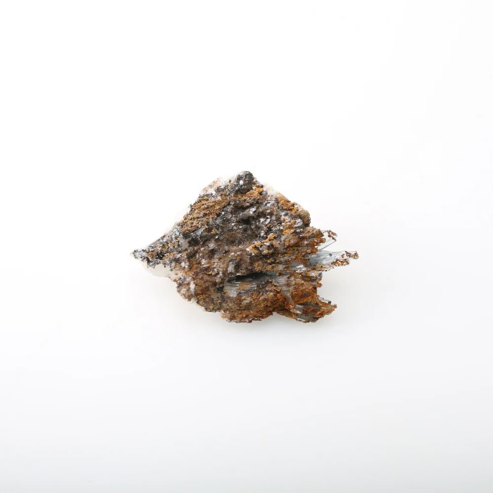 Miniatuur 1