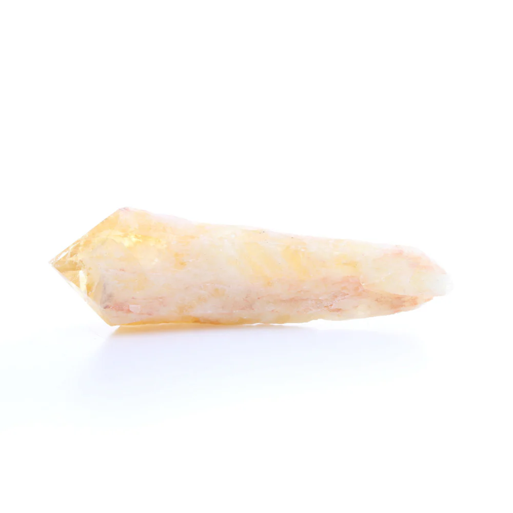 Miniatuur 1