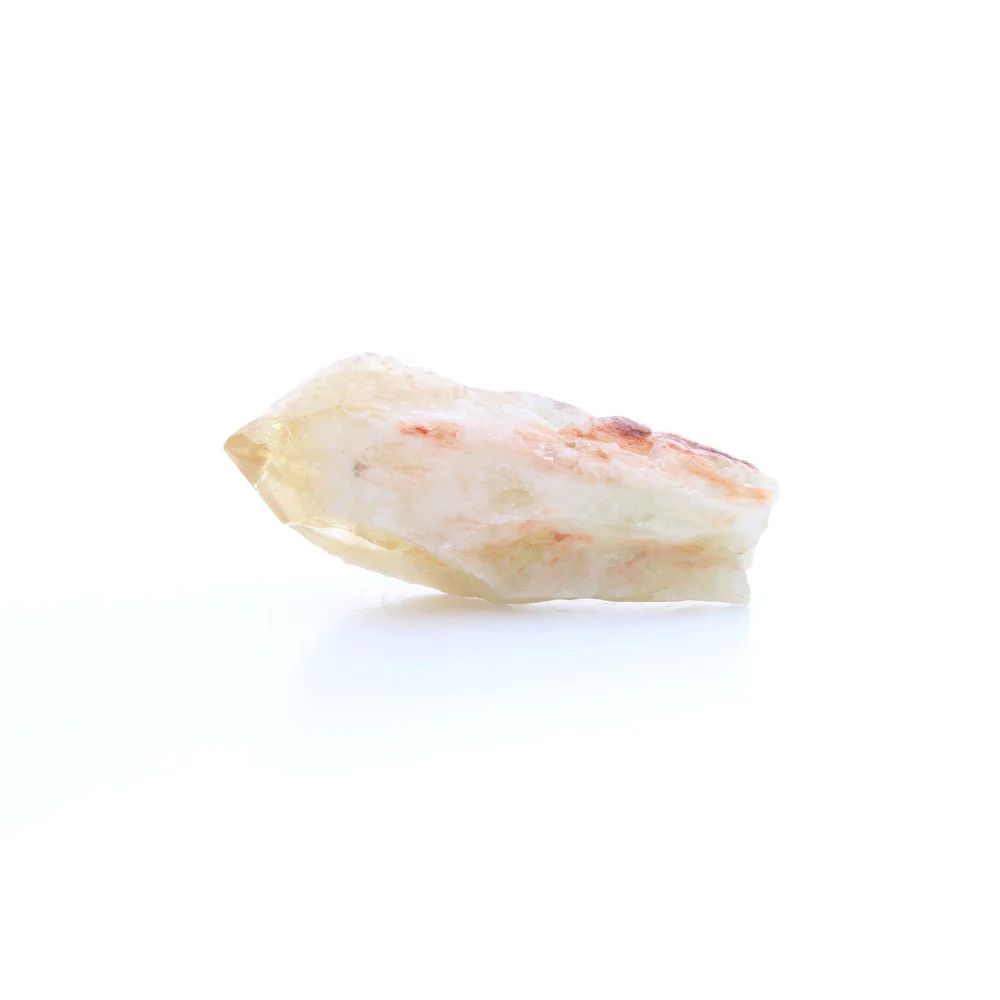 Miniatuur 1