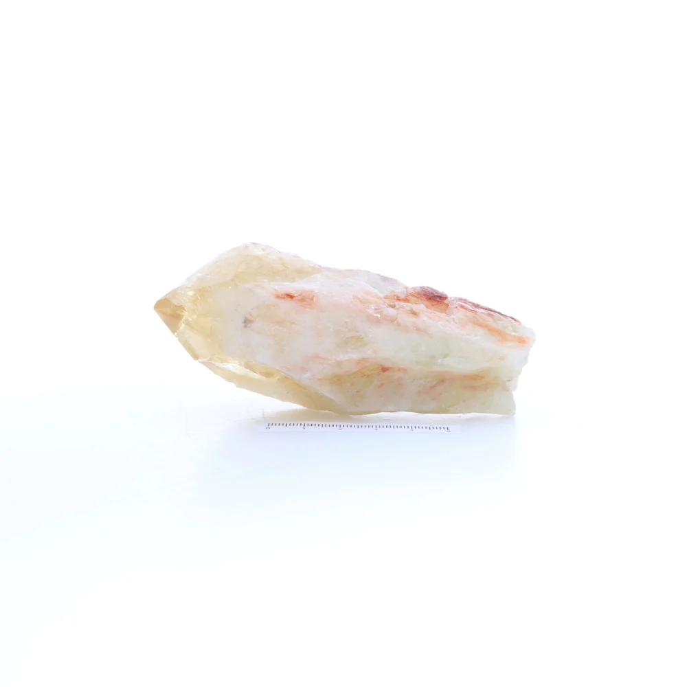 Miniatuur 2