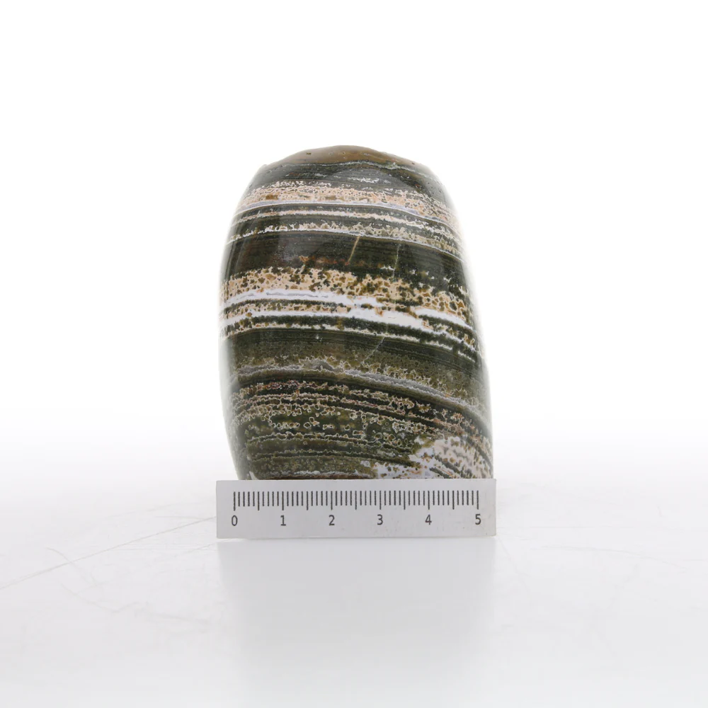 Miniatuur 2