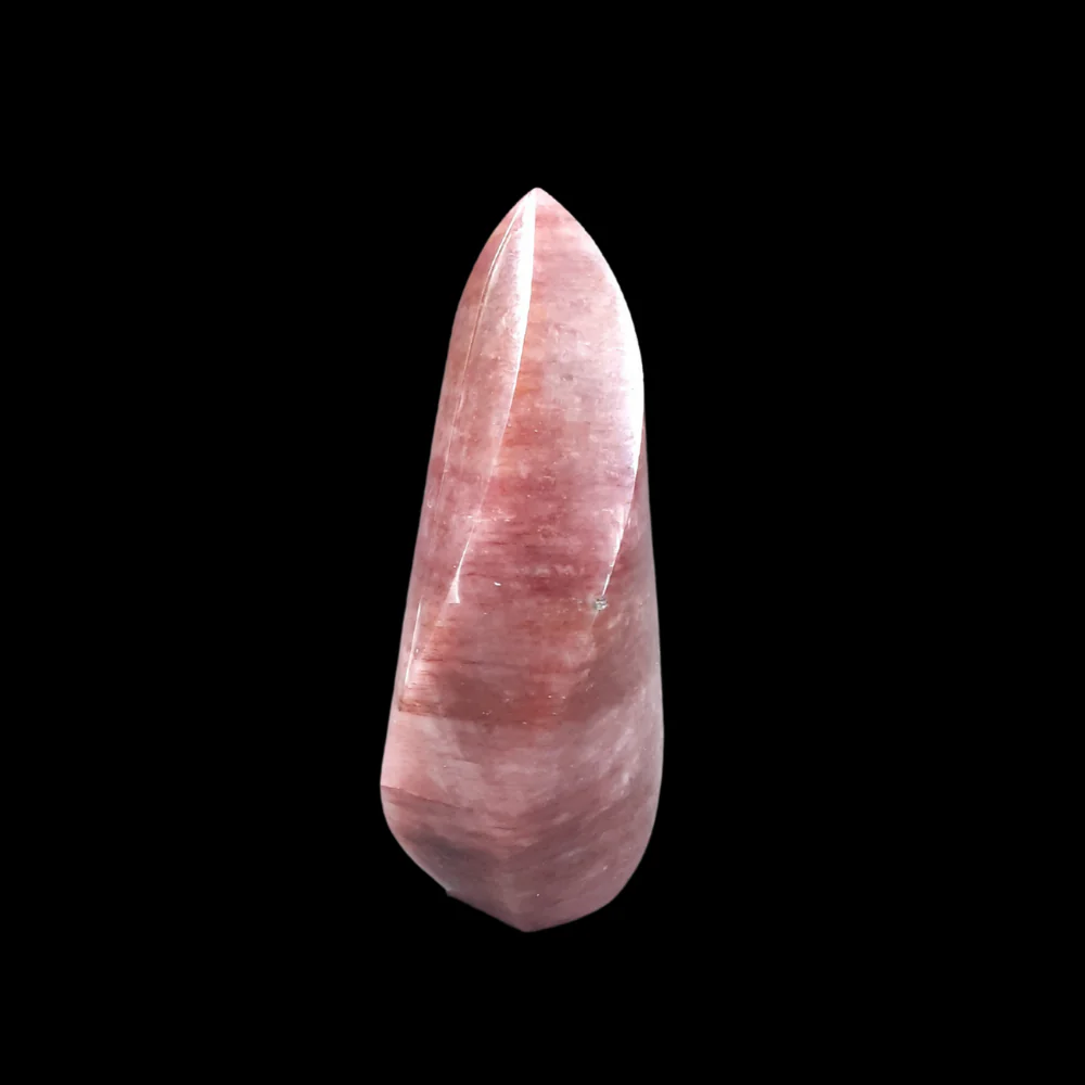 Muscoviet staand - 1 - Image 3