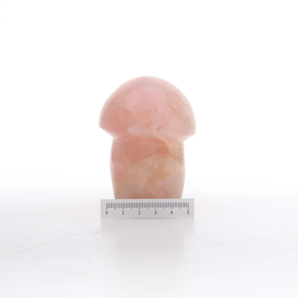 Miniatuur 2