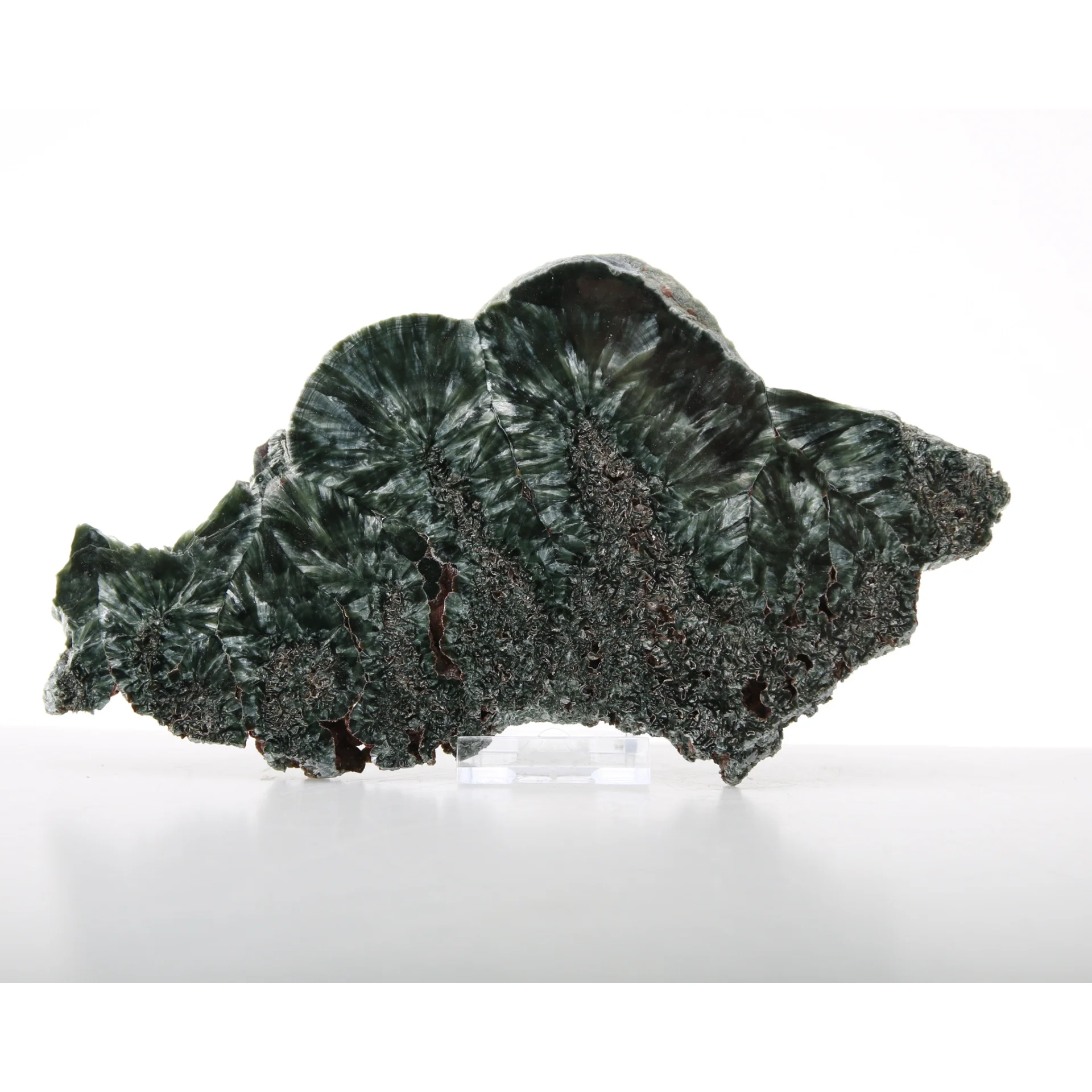Miniatuur 1