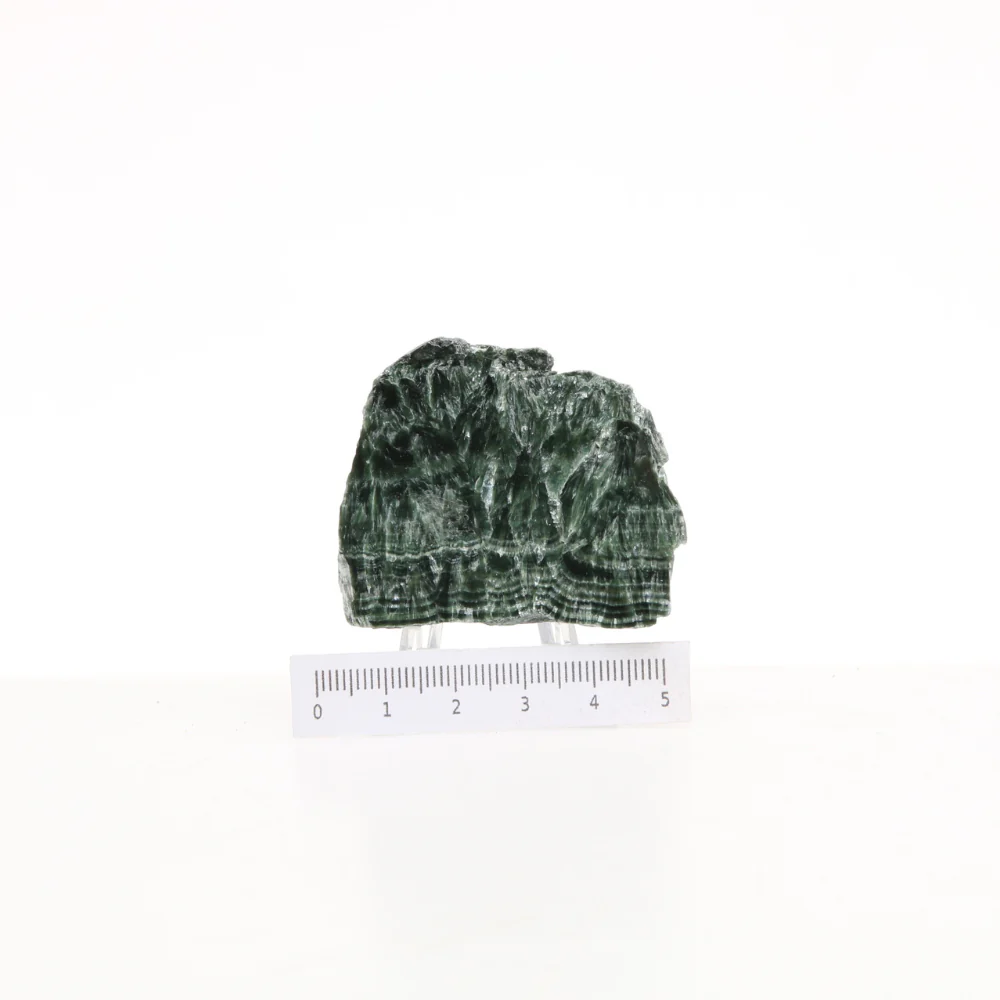 Miniatuur 2