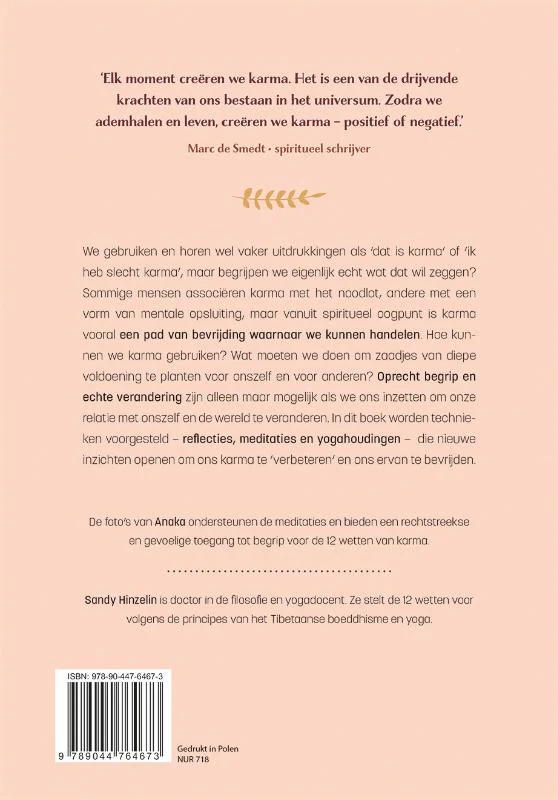 De 12 wetten van Karma - Image 2