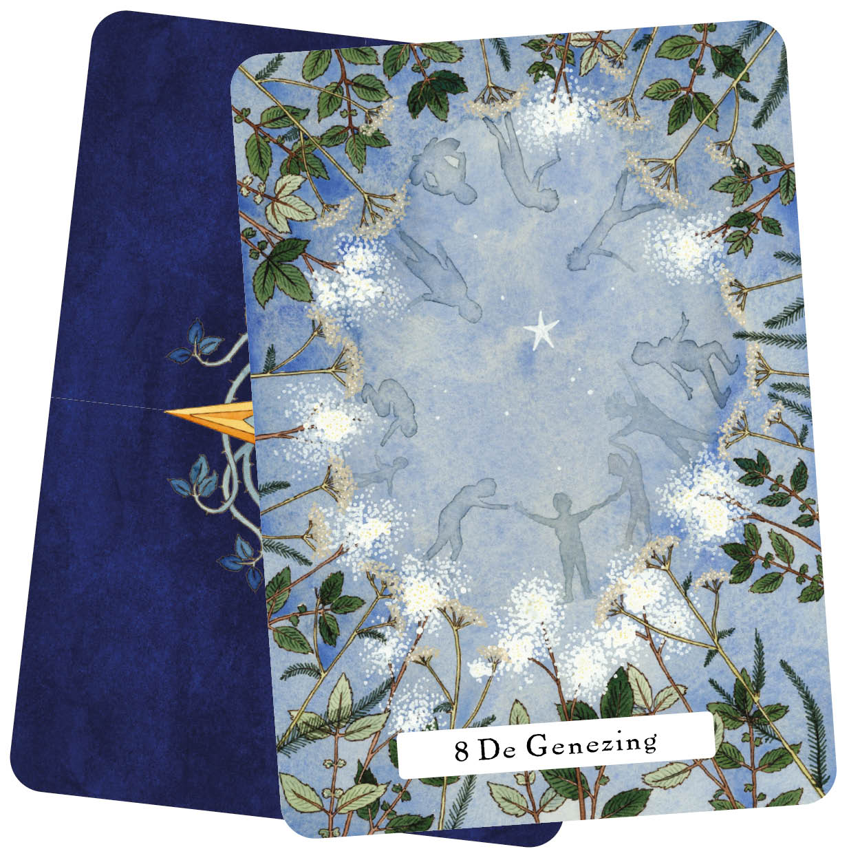 De Heksen Wijsheid Tarot Set - Image 4
