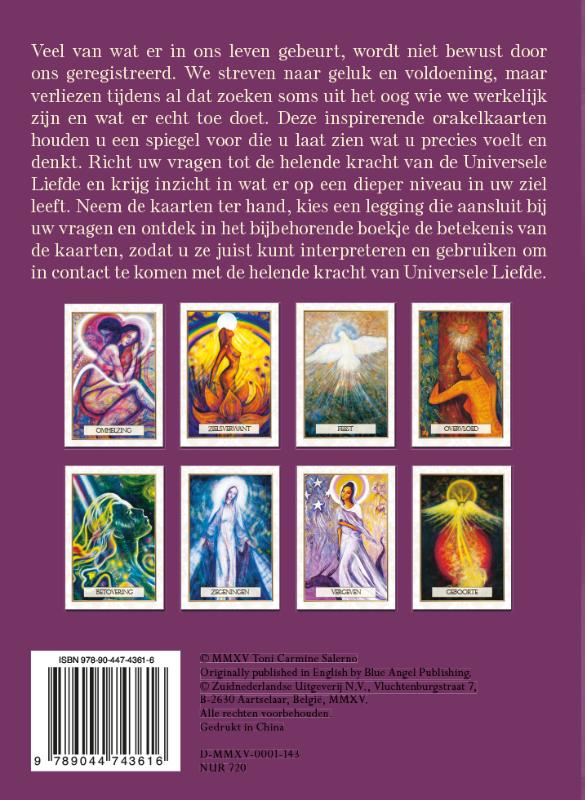 De helende kracht van universele liefde - Image 2