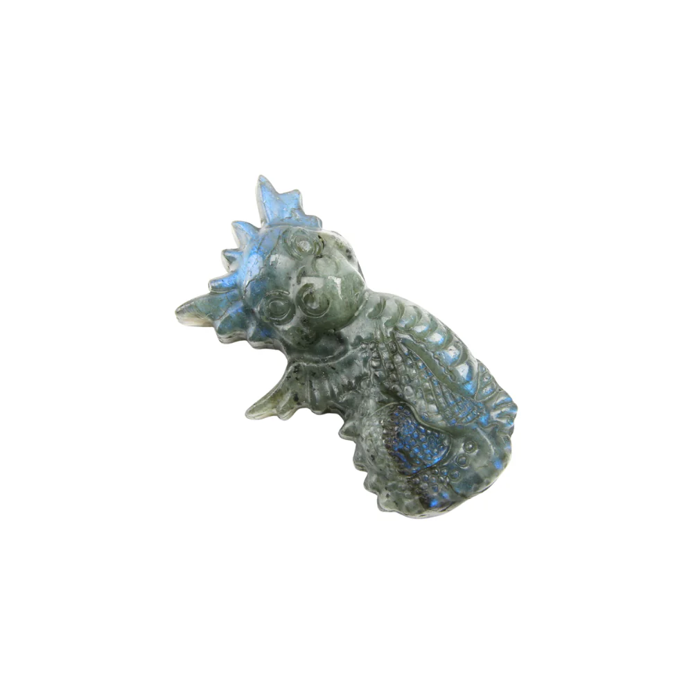 Draak - labradoriet - Image 2