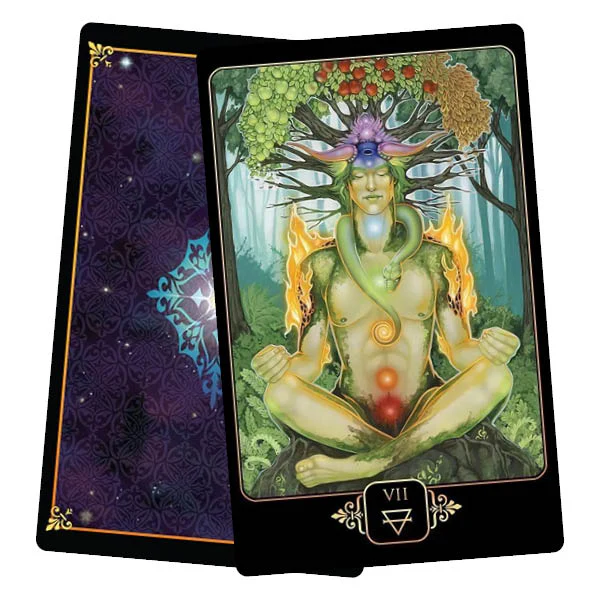 Dreams of Gaia tarot - Image 5