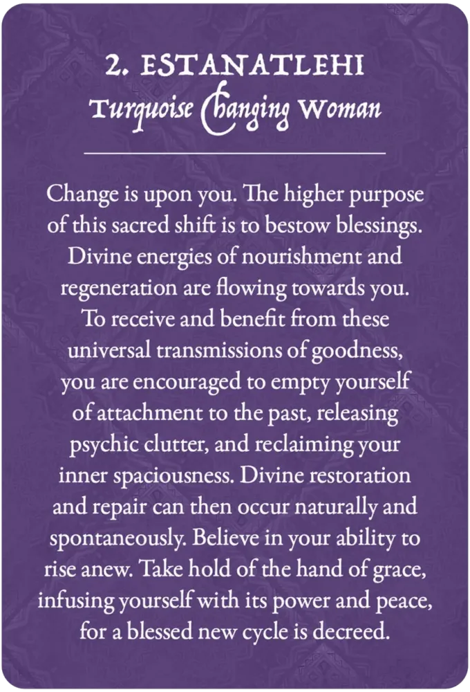 Earth Warriors Oracle Pocket Purpose Edition - Image 4