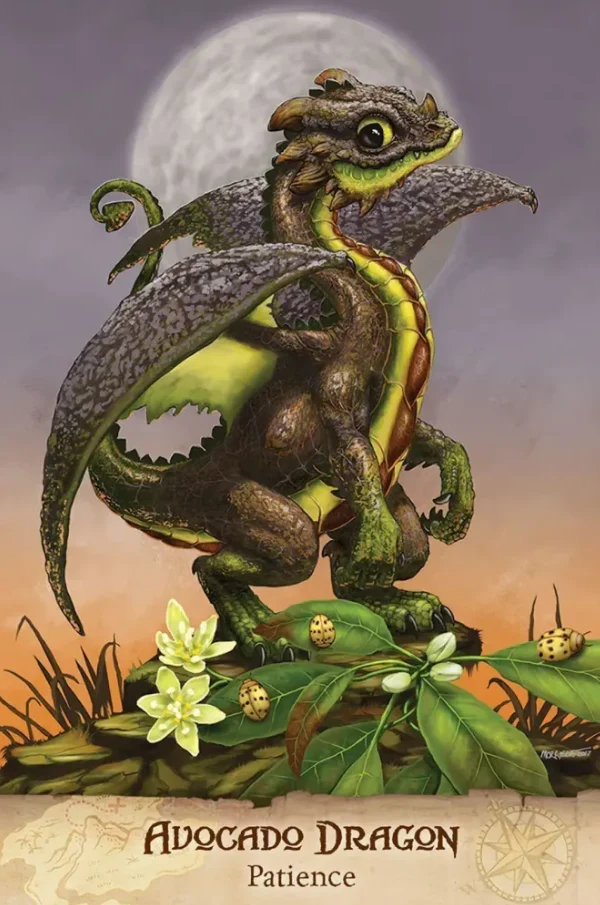 Field Guide to Garden Dragons - Image 3