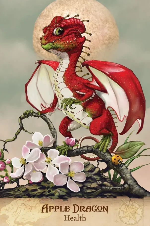 Field Guide to Garden Dragons - Image 4
