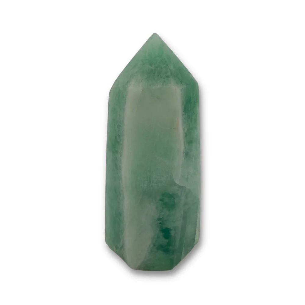 Miniatuur 2